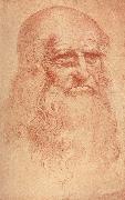 LEONARDO da Vinci Self Portrait oil painting reproduction